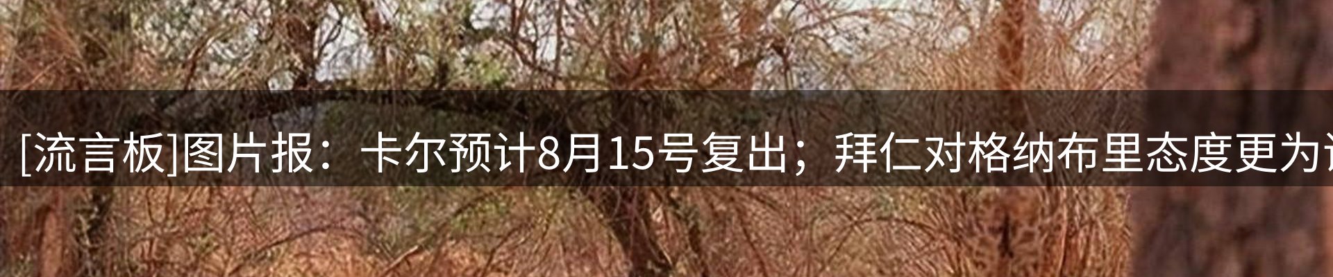 行业资讯